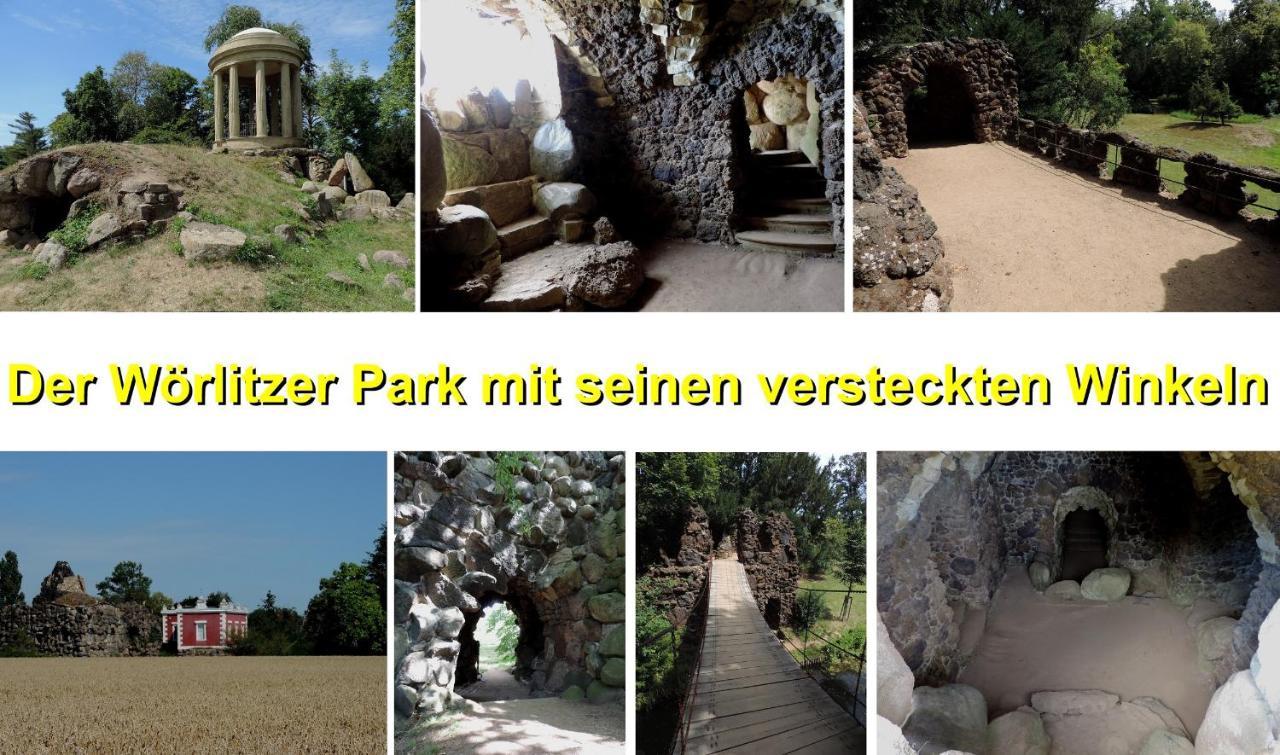 Die Ferienwohnung - Wittenberg An Den Elbwiesen Exterior foto